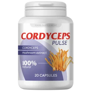 Cordyceps pulse Kapseln 20 St
