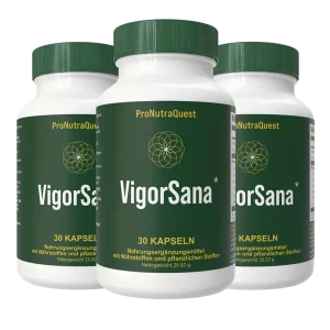 VigorSana Kapseln 30 Kapseln