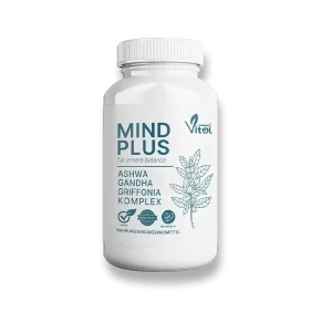 MindPlus